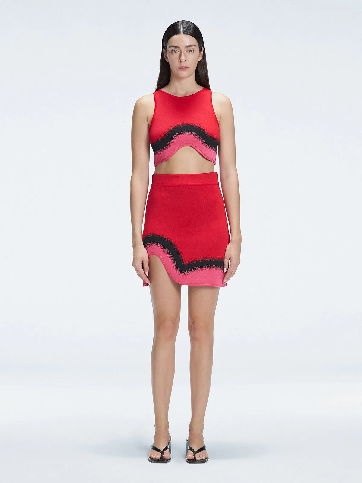 Cecilia Red Degraded Crop Top and Lydia Skirt Set