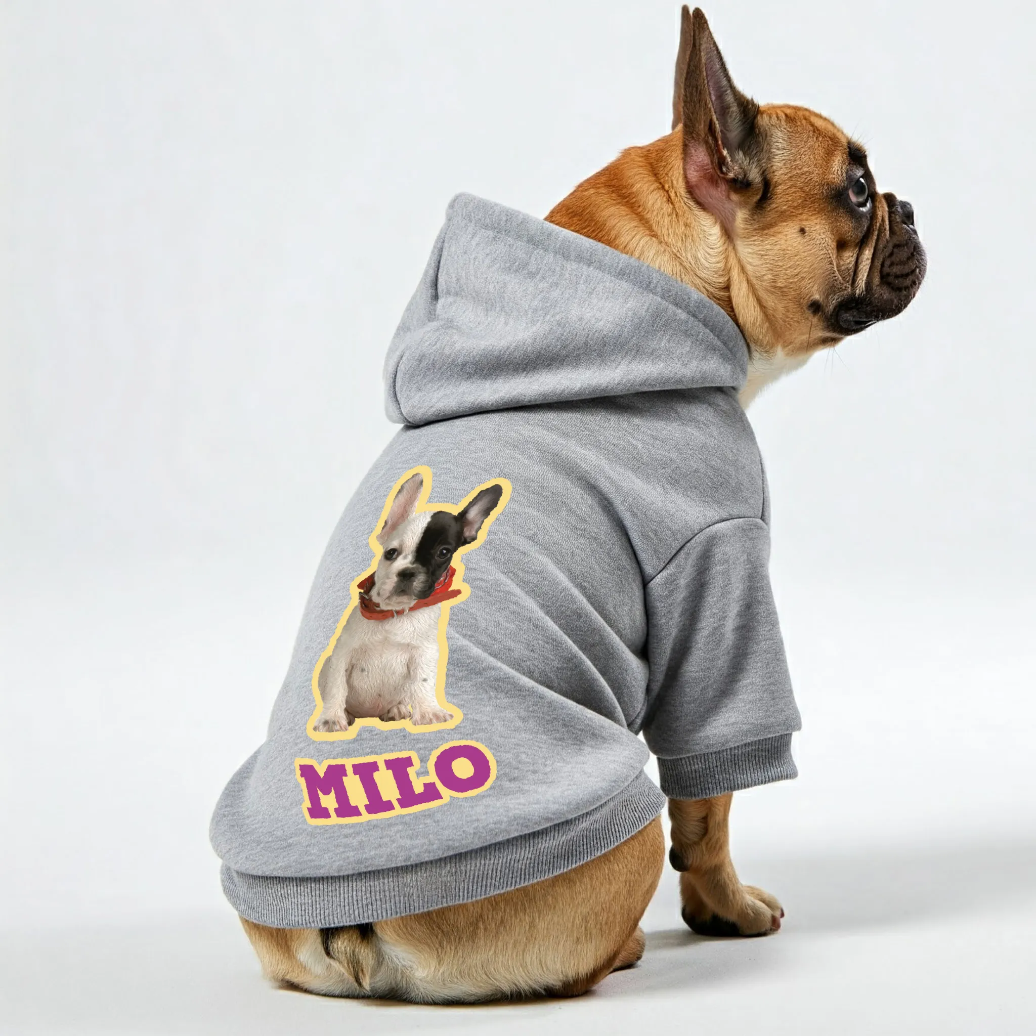 Personalized French Bulldog Hoodies with Funny Quotes, Custom Name, and Custom Image – Stylish, Cozy, and Premium 100% Cotton