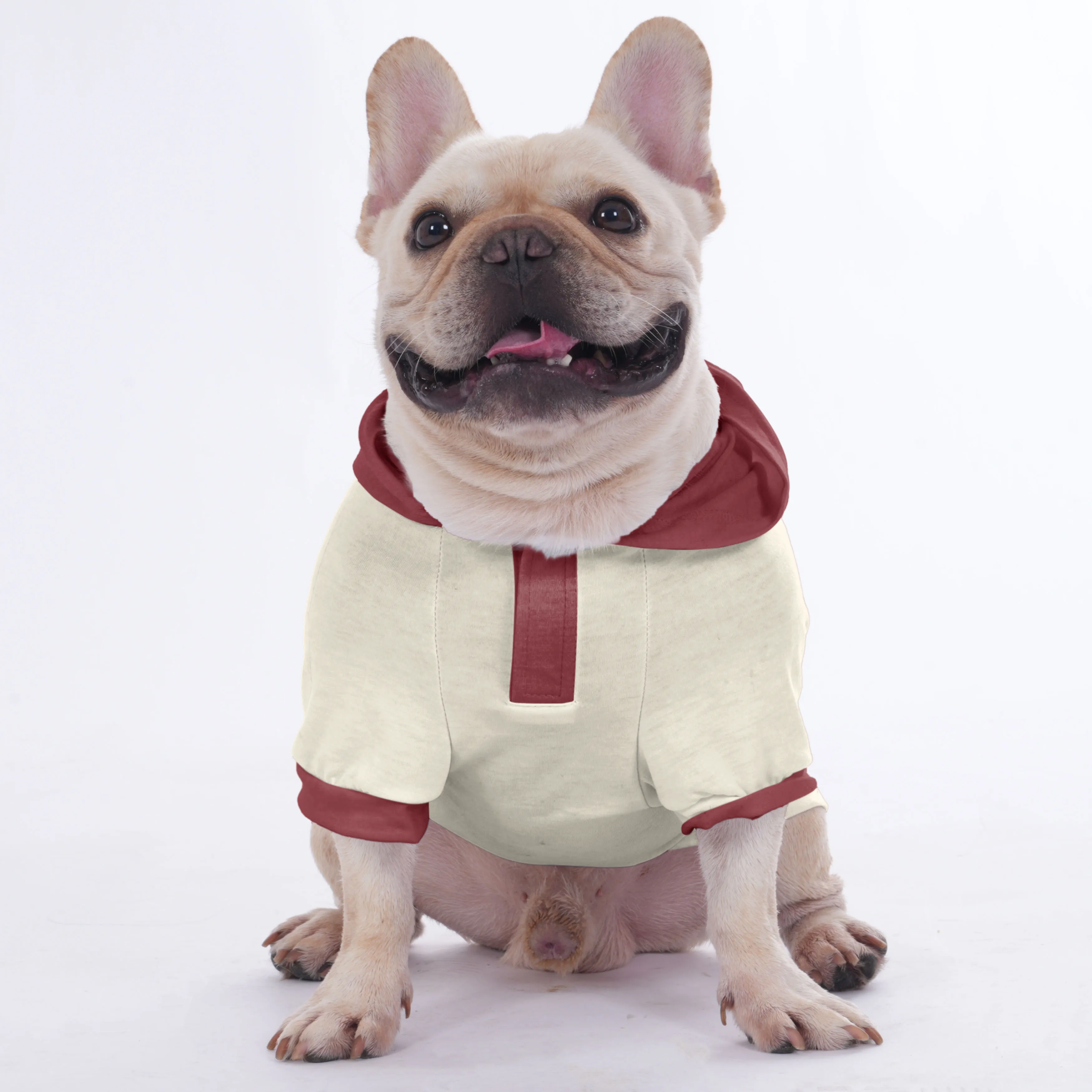 Sissy - Hoodies for French Bulldog  | Frenchie Shop Original