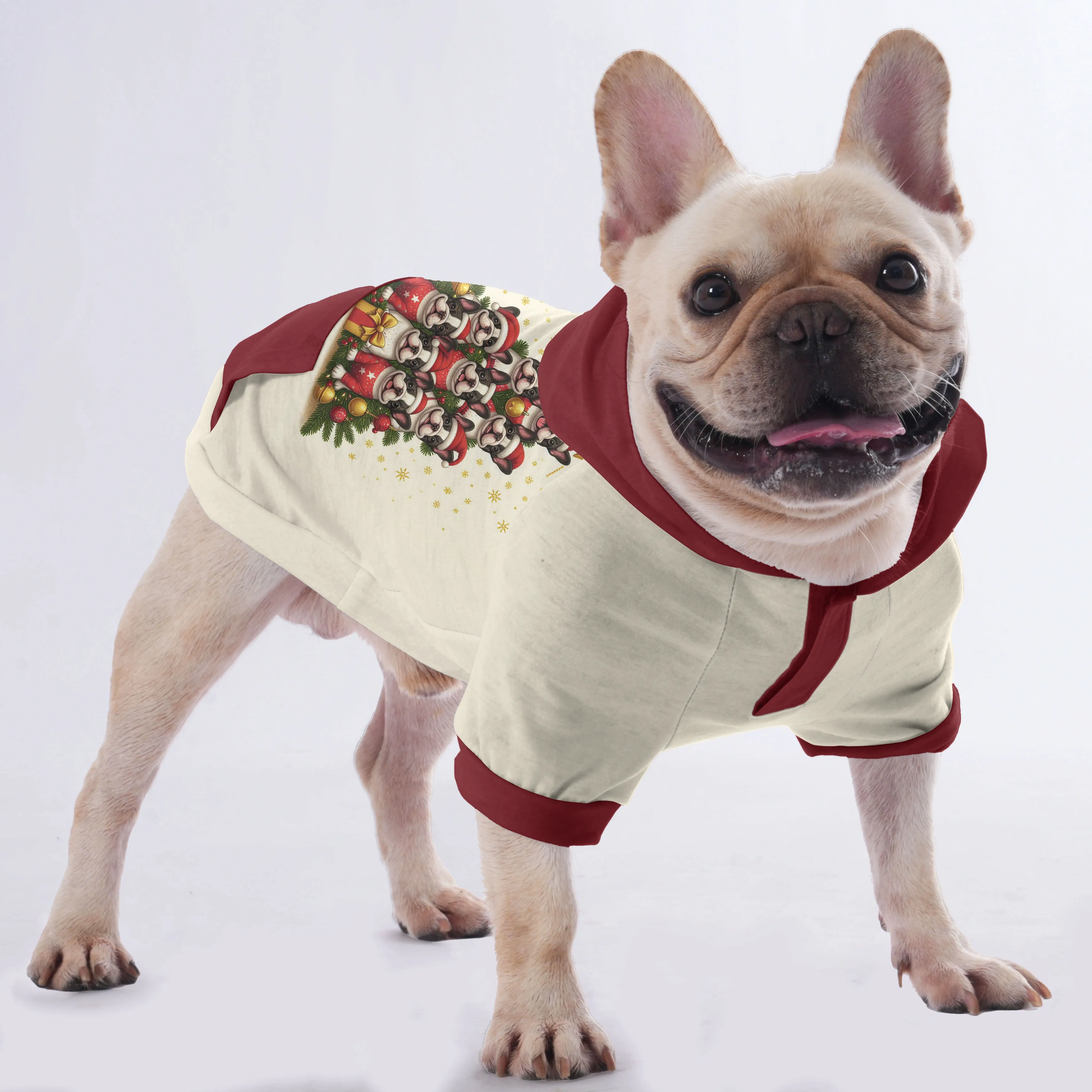 Sissy - Hoodies for French Bulldog  | Frenchie Shop Original